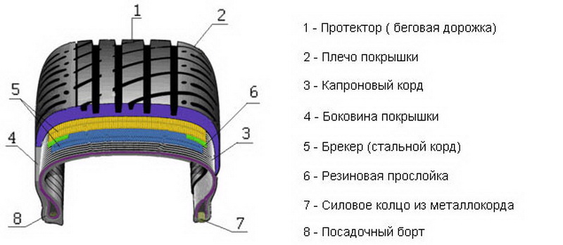 На приведенной схеме обозначены: протектор (1), боковина (4) и посадочный борт (8) шины