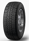 Nokian Tyres Business CW 2